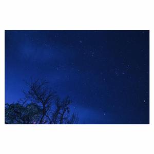 近親五十路六十交尾厨房
