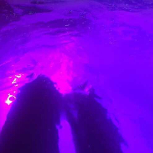 近親五十路六十交尾厨房
