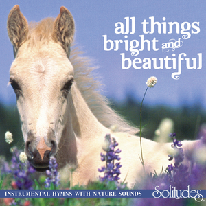 近親五十路六十交尾厨房
